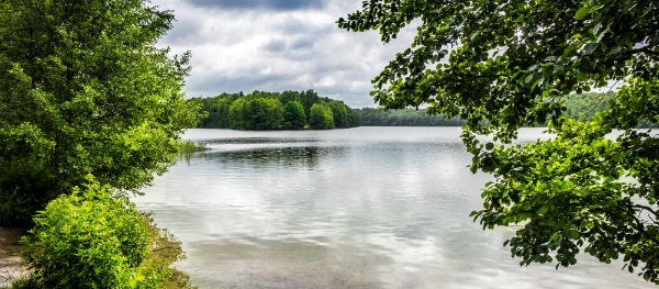 Le Liepnitzsee dans son écrin de verdure