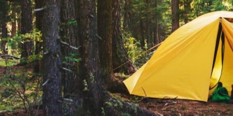 6 conseils pour nettoyer votre tente