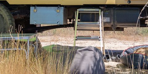 Petit guide pour des vacances parfaites avec votre compagnon à quatre pattes