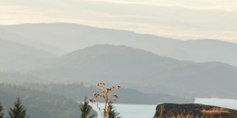Camping et randonnée : quelle bonne idée !