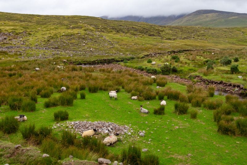 Les Voies Vertes britanniques, appelées « Greenways » vous font découvrir les paysages typiques du Royaume-Uni.