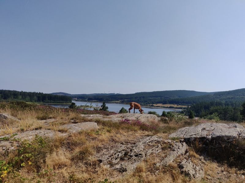 Vous aimez la nature, le calme et les balades ? Le Haut-Languedoc est fait pour vous.