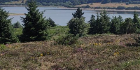 Profiter de la nature et de la paix dans le Haut-Languedoc