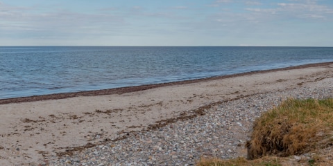En vacances via internet avec les meilleures webcams nature d’Europe