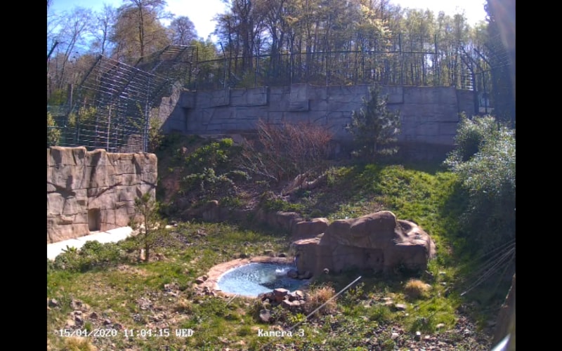 Zoo de Neunkirch.