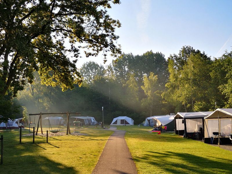 Camping accessible aux personnes handicapées : au camping De Ruimte, les chemins sont asphaltés.