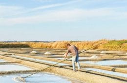 Marais salants de Guérande