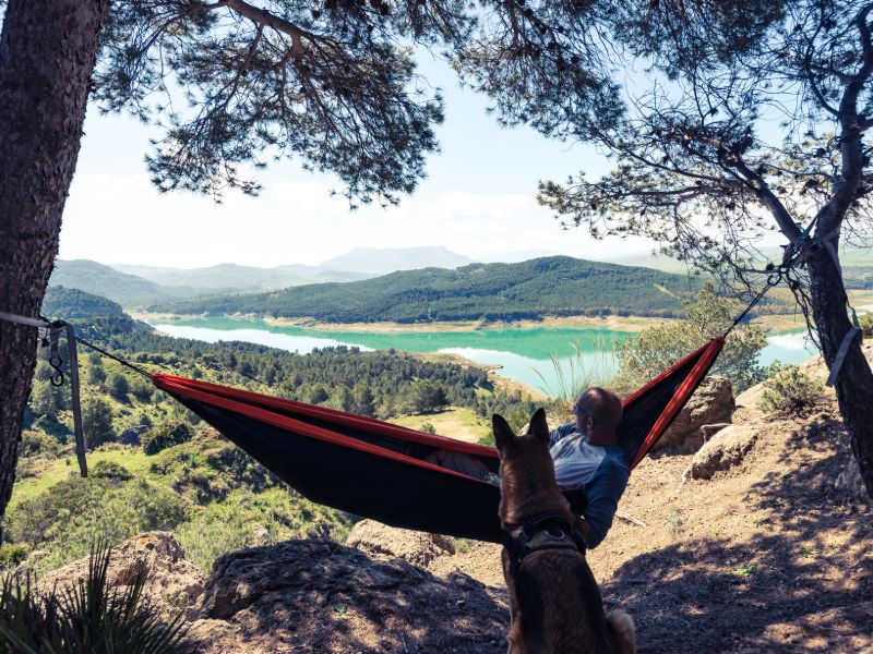 Camper avec un chien