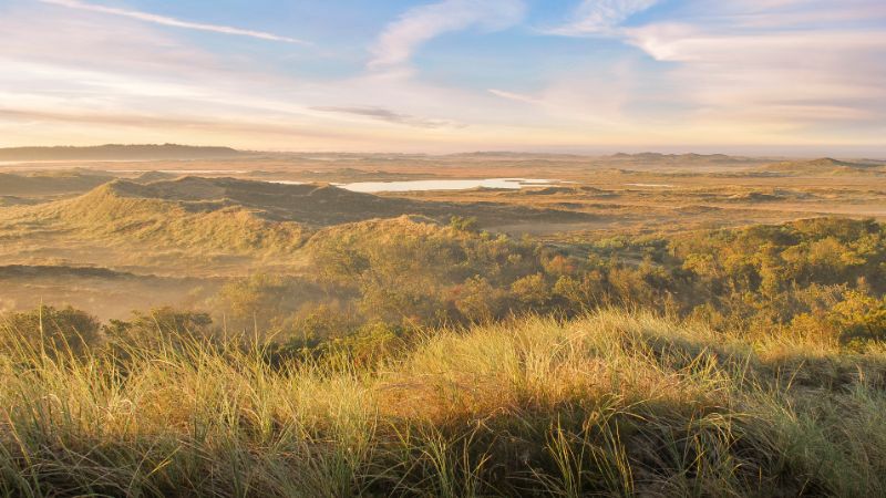 Nationaal Park Thy Denemarken