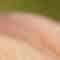 Comment lutter contre les moustiques au camping ?