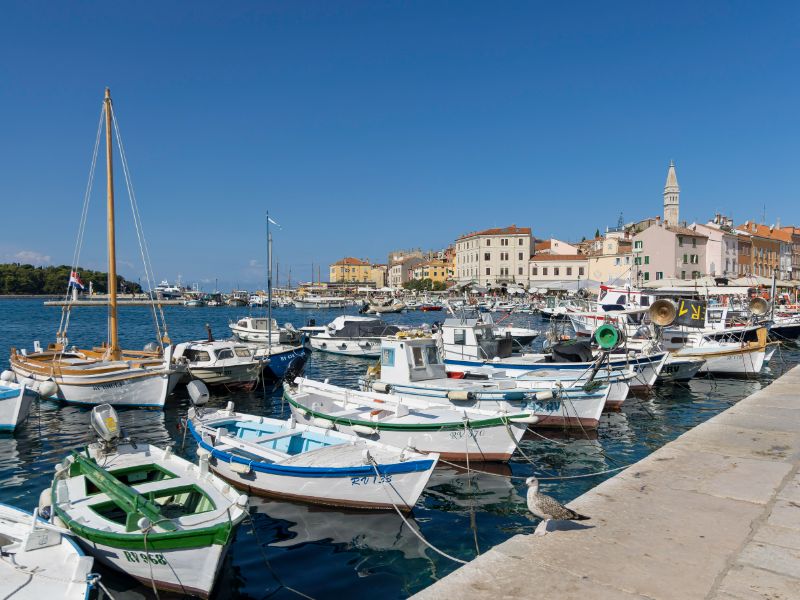 Le charmant port de Rovinj