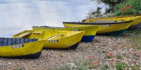 Vacances en Albanie : camping en pleine nature