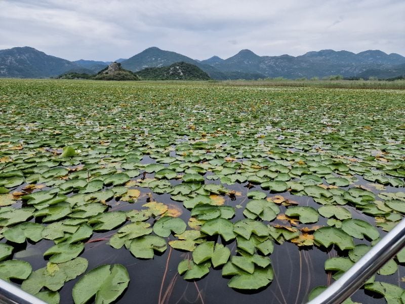 Natuur in Montenegro