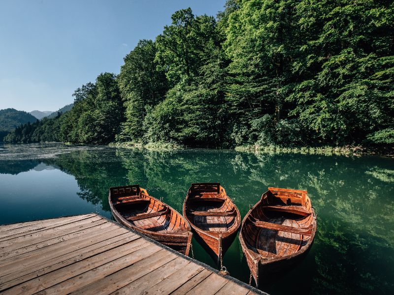 Biogradska Gora